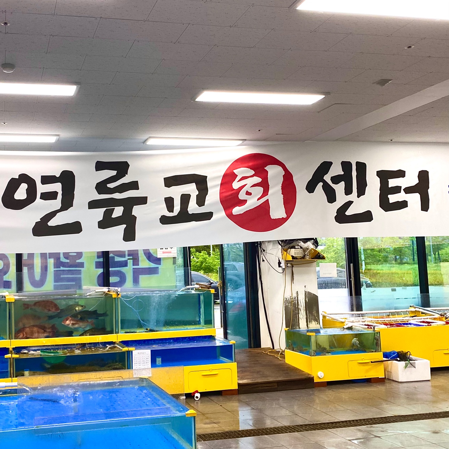 회센터
