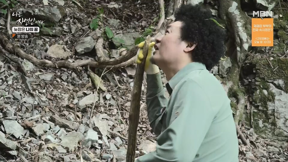 나는 자연인이다.E561.230705p.H264-F1RST.mp4_20230706_213039.982.jpg