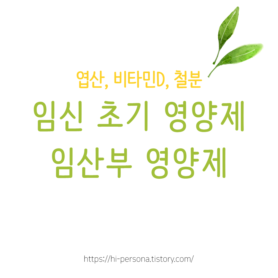  임신 초기 영양제 / 임산부 영양제