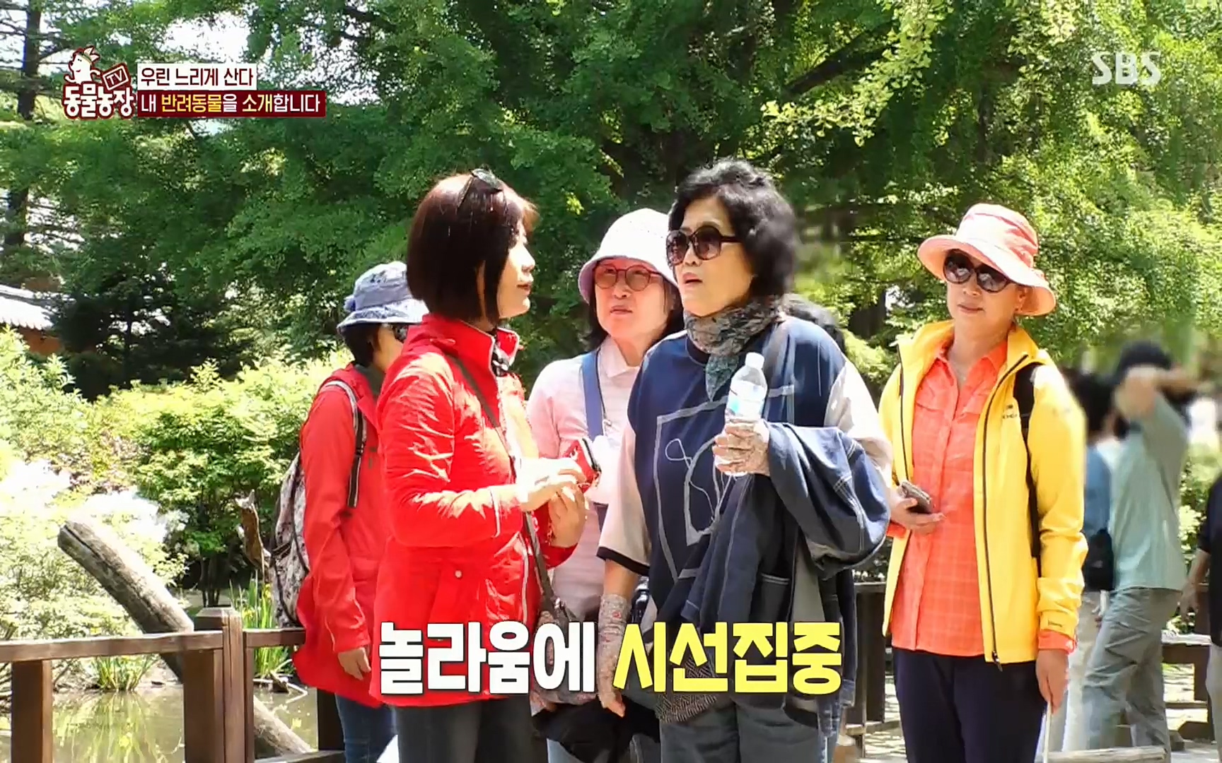 TV 동물농장.E1074.220619p.H264-F1RST.mp4_20220619_180848.981.jpg
