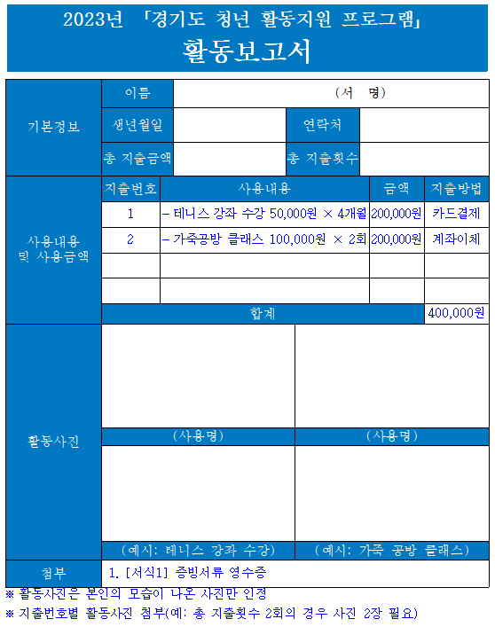 경기 청년 활동 지원 사업