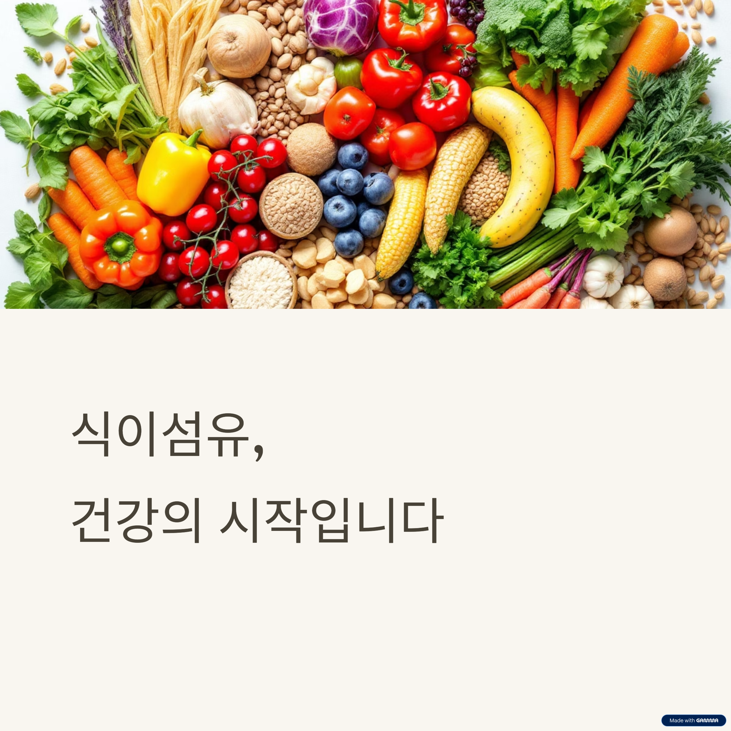 식이섬유와 장 건강의 과학적 연결