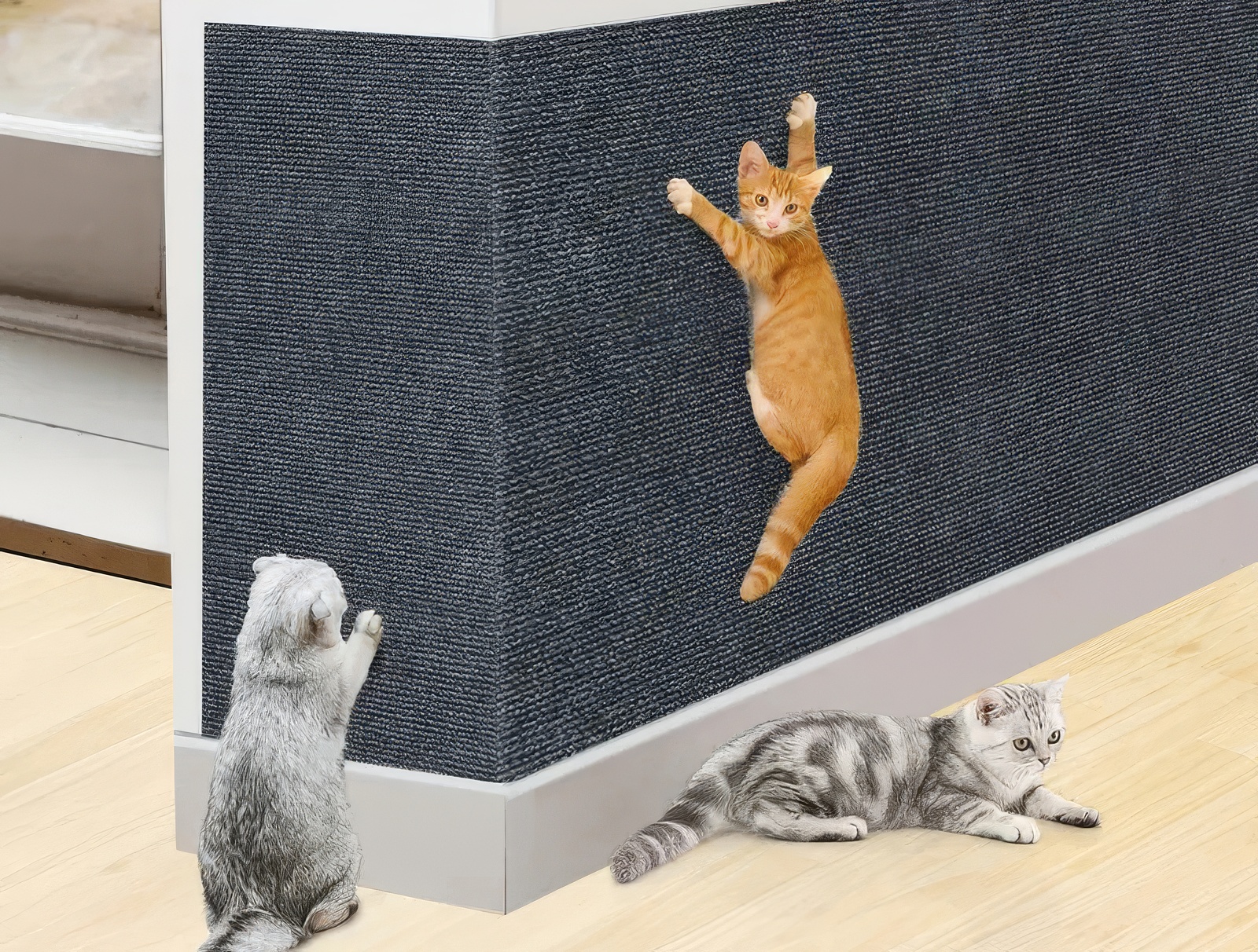 고양이 벽지 스크래쳐
