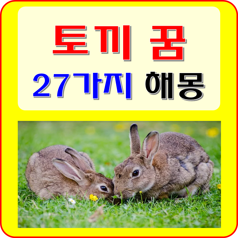 토끼꿈 검은토끼 흰토끼 보는 꿈해몽 알아볼까요