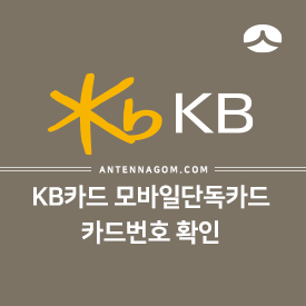  KB국민카드 모바일단독카드 카드번호 확인 / 삼성페이에 등록하는 방법