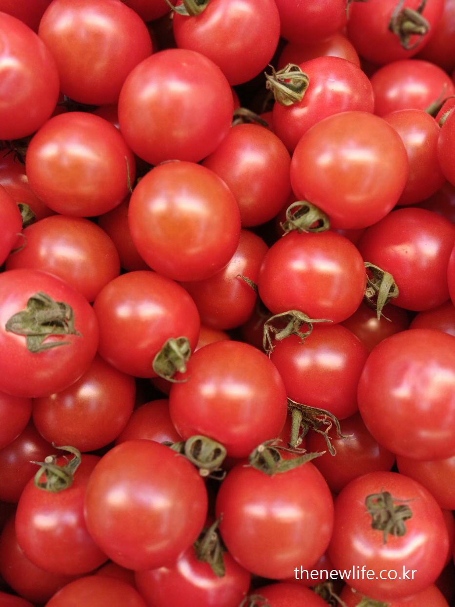 &quot;Fresh cherry tomatoes closely packed together&quot;-&quot;신선한 방울토마토가 빼곡히 놓여 있는 모습&quot;