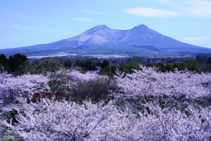 홋카이도 코마가타케 Hokkaido Koma-ga-take 北海道駒ヶ岳 ほっかいどうこまがたけ