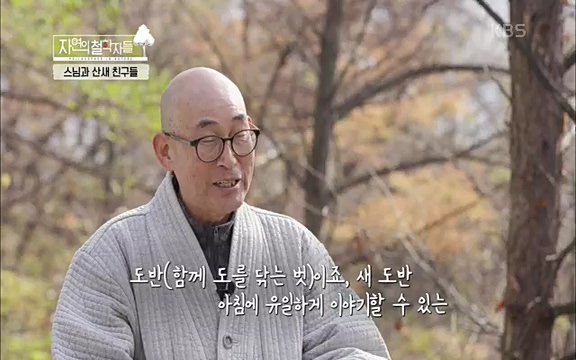 [3회] 자연의 철학자들 - KBS새처럼 살고 싶어라] 자연이라는 위대한 법당에서 숲의 울림, 새들의 소리를 들으며 깨달음을 얻은 도연 스님.ts_20220320_153547.886.jpg