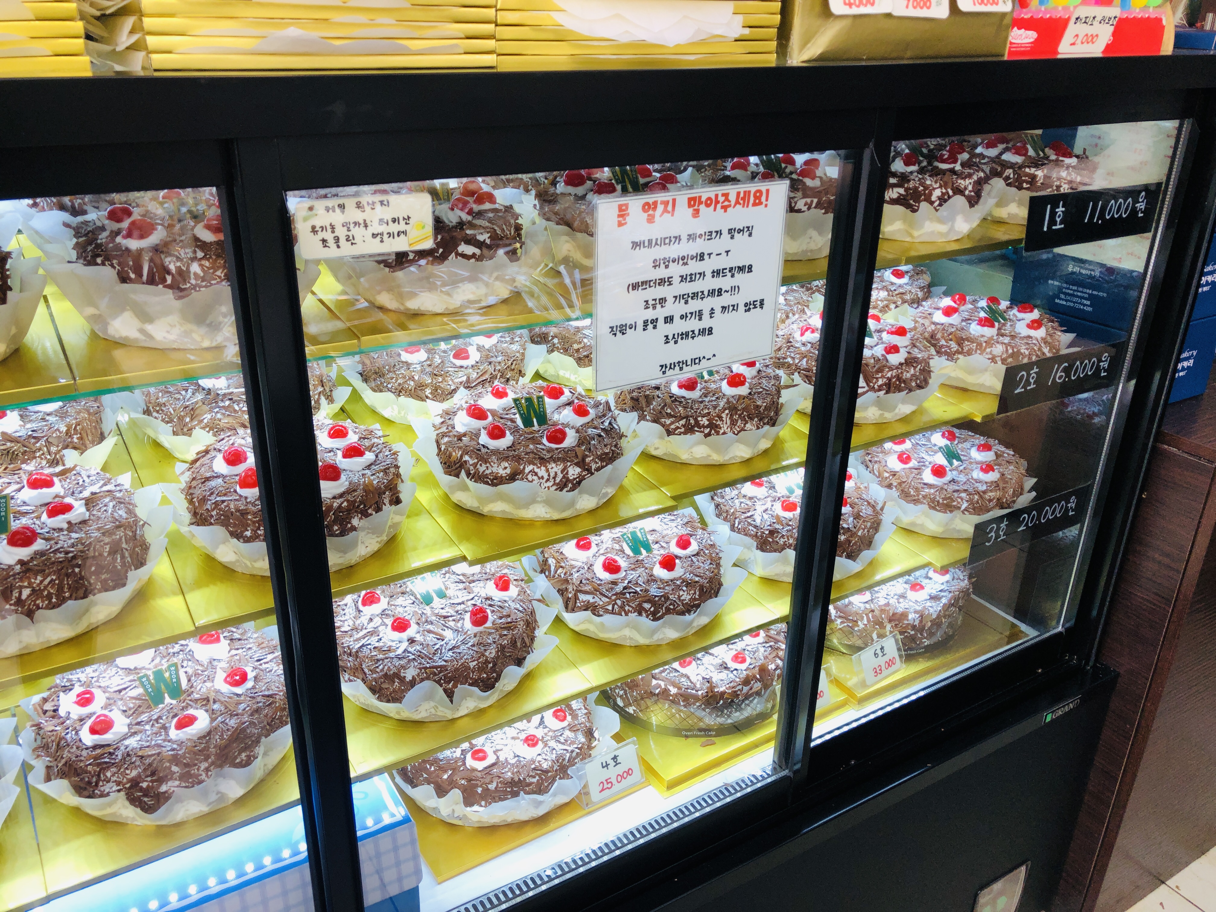  청주여행 청주명물 우리마트 초코케이크