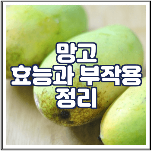  망고 효능과 부작용 정리