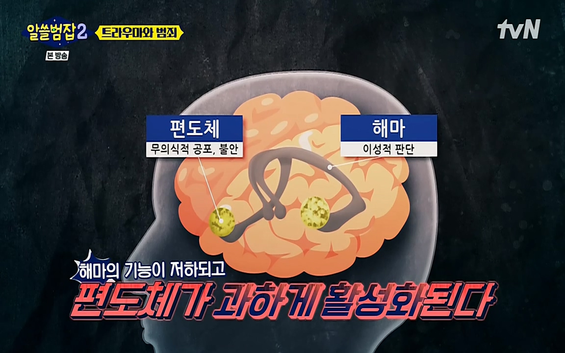 알쓸범잡 2.E11.220321p-NEXT.mp4_20220321_181831.222.jpg