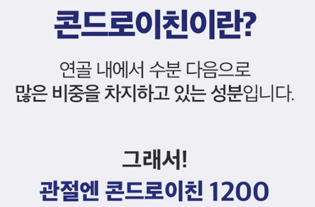 콘드로이친 1200효능 사진