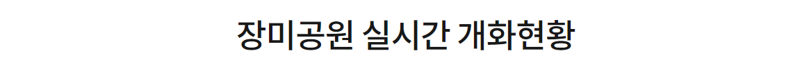 곡성 세계 장미축제 The Red 장미공원 개화현황 장미트롯 레전드쇼 황금장미 이찬원 백지영 김경호