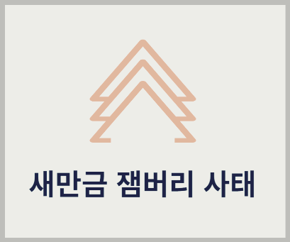 새만금잼버리사태