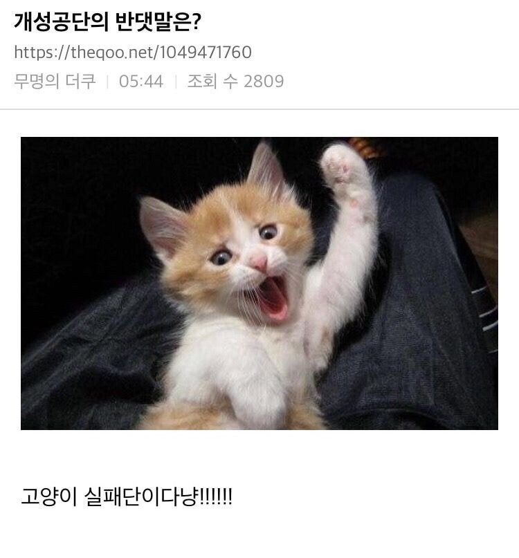   뚜뚜월드