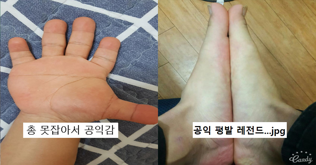  공익 갤러리에 올라온 '공익 판정'인증글들