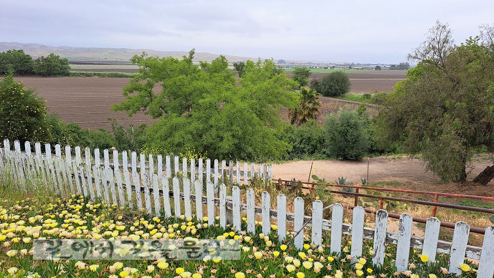 Mission San Juan Bautista