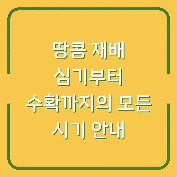 땅콩 재배 심기부터 수확까지의 모든 시기 안내