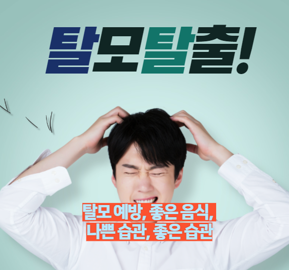 탈모탈출
