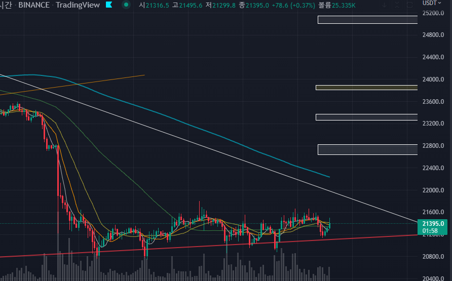 비트코인 BTC 1시간봉