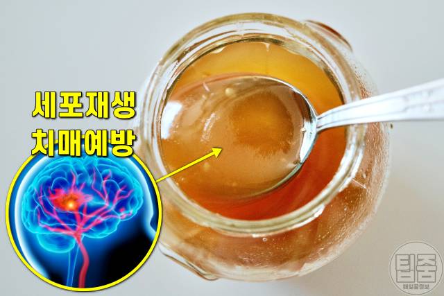 매일 꿀을 먹으면,꿀 한숟갈,치매 꿀 효능,팁줌