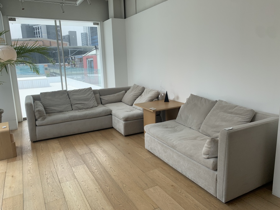 잭슨카멜레온, 플랜트란스 20