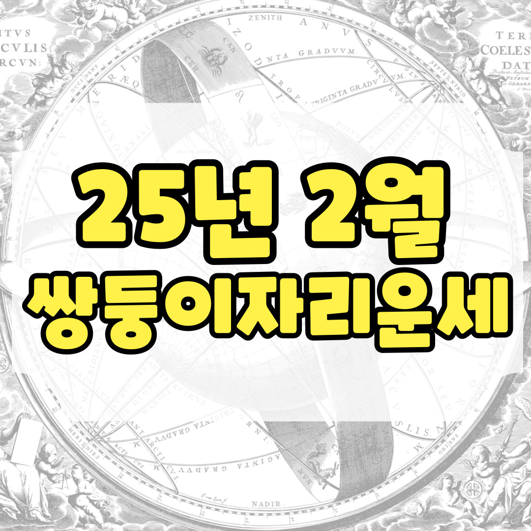 쌍둥이자리 운세에 관련된 사진