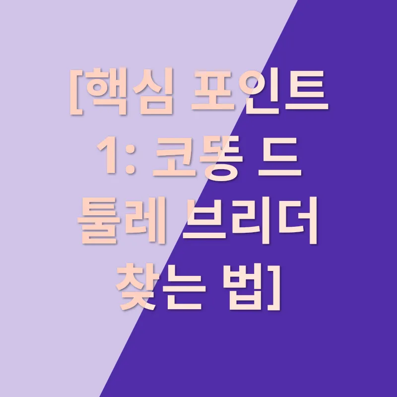 코똥 드 툴레 반양_1