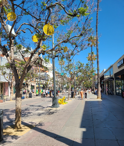 다운타운 산타 모니카 거리의 모습. 양쪽으로 쇼핑할 수 있는 건물들이 줄지어 있고&amp;#44; 가운데로는 나무가 한 줄로 심겨 있다.
