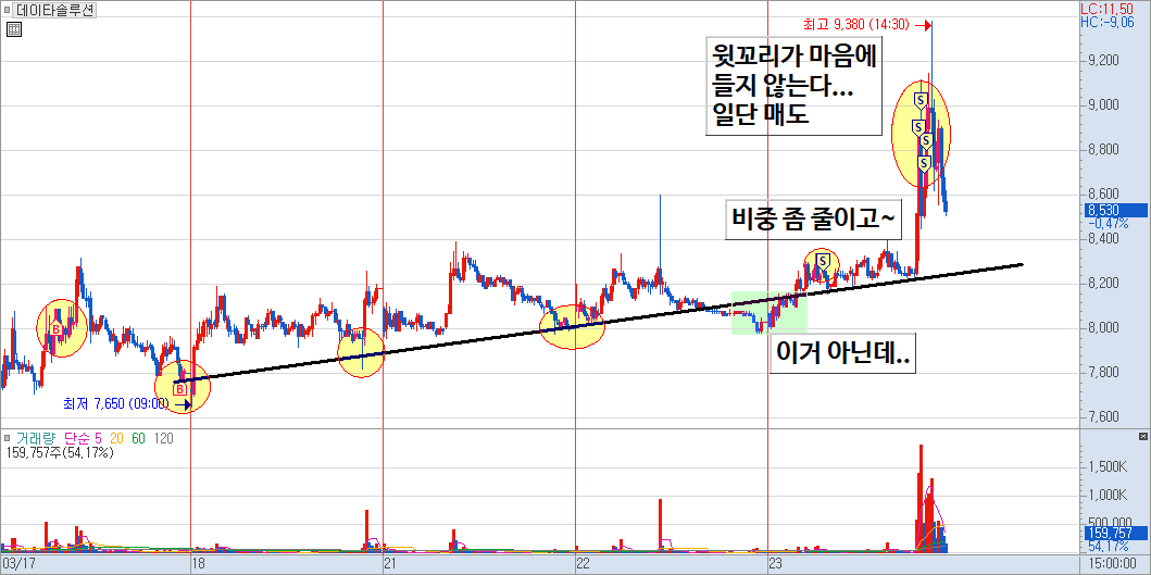 데이타솔루션 매매 일지 5)