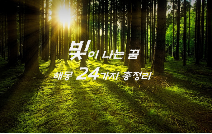  빛이 나는 꿈 해몽 24가지 총정리