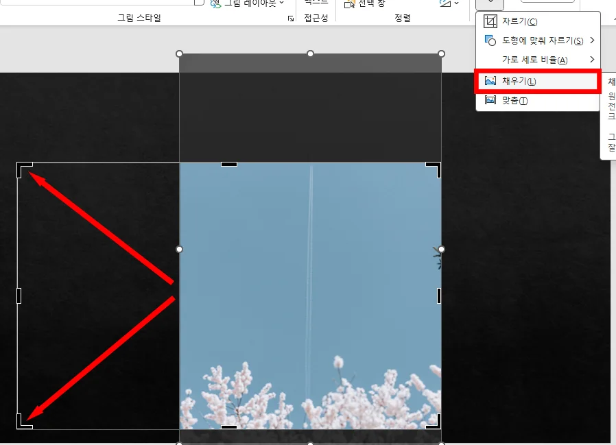 ppt에서 사진을 자르고 채우기를 하는 모습