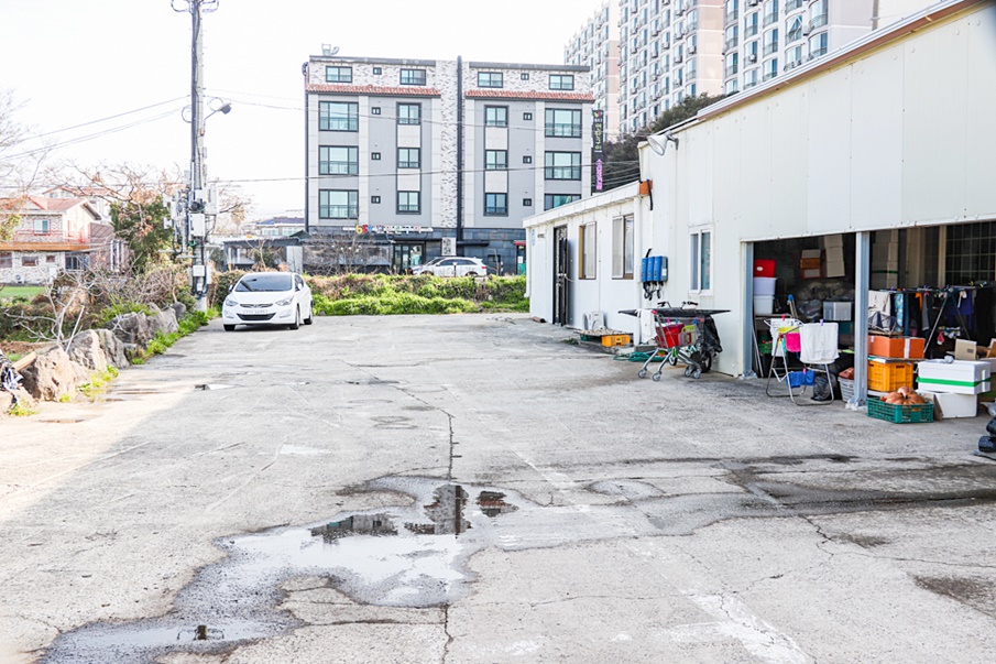 살아있는 맛집 푸짐한 큰물해물탕 4