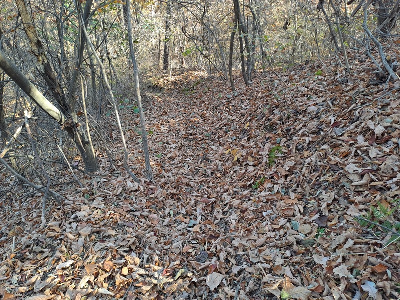 낙엽쌓인-둘레길
