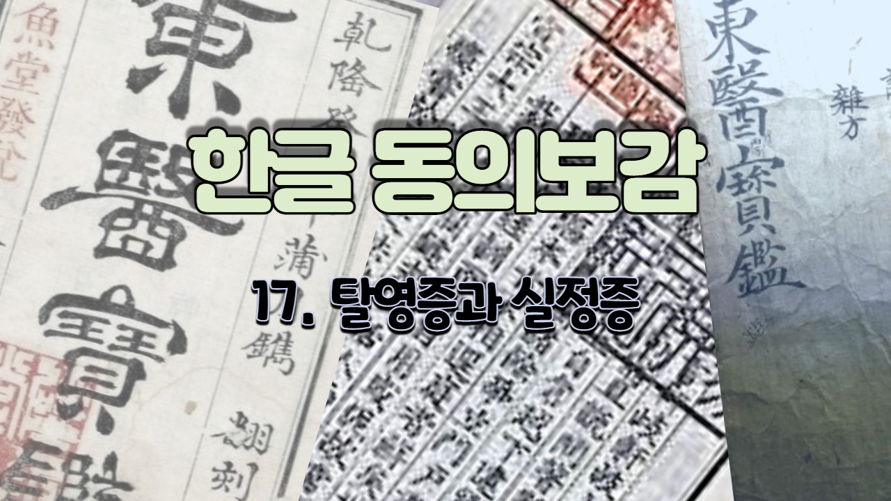  17. 탈영증과 실정증 ( 내경편 신 )