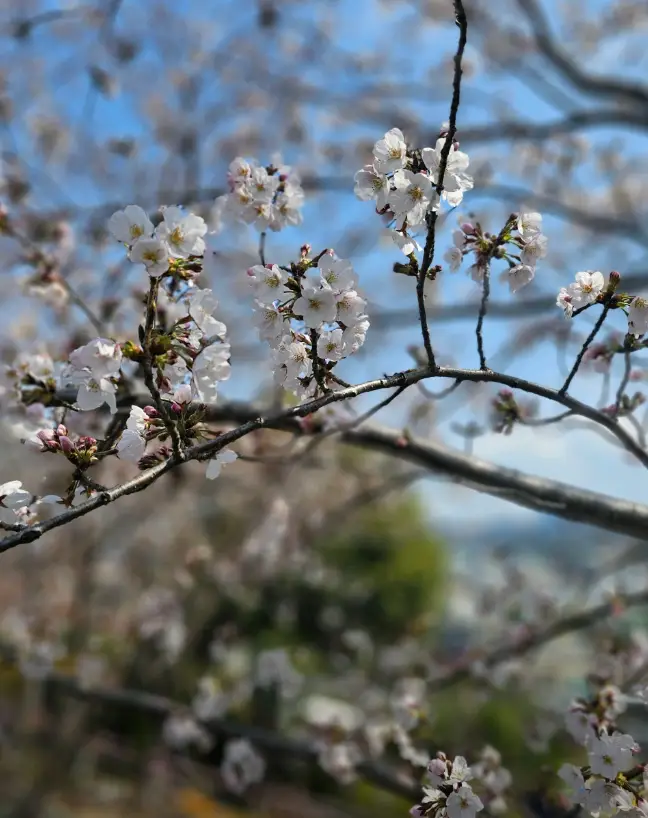 삼락생태공원3