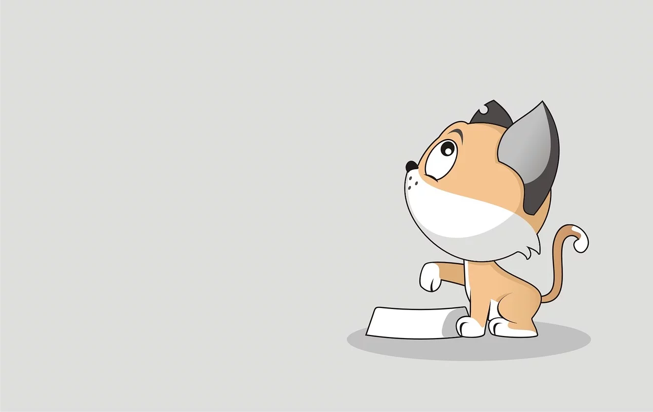  고양이 습식사료, 건식사료 어떤 것이 더 좋을까?