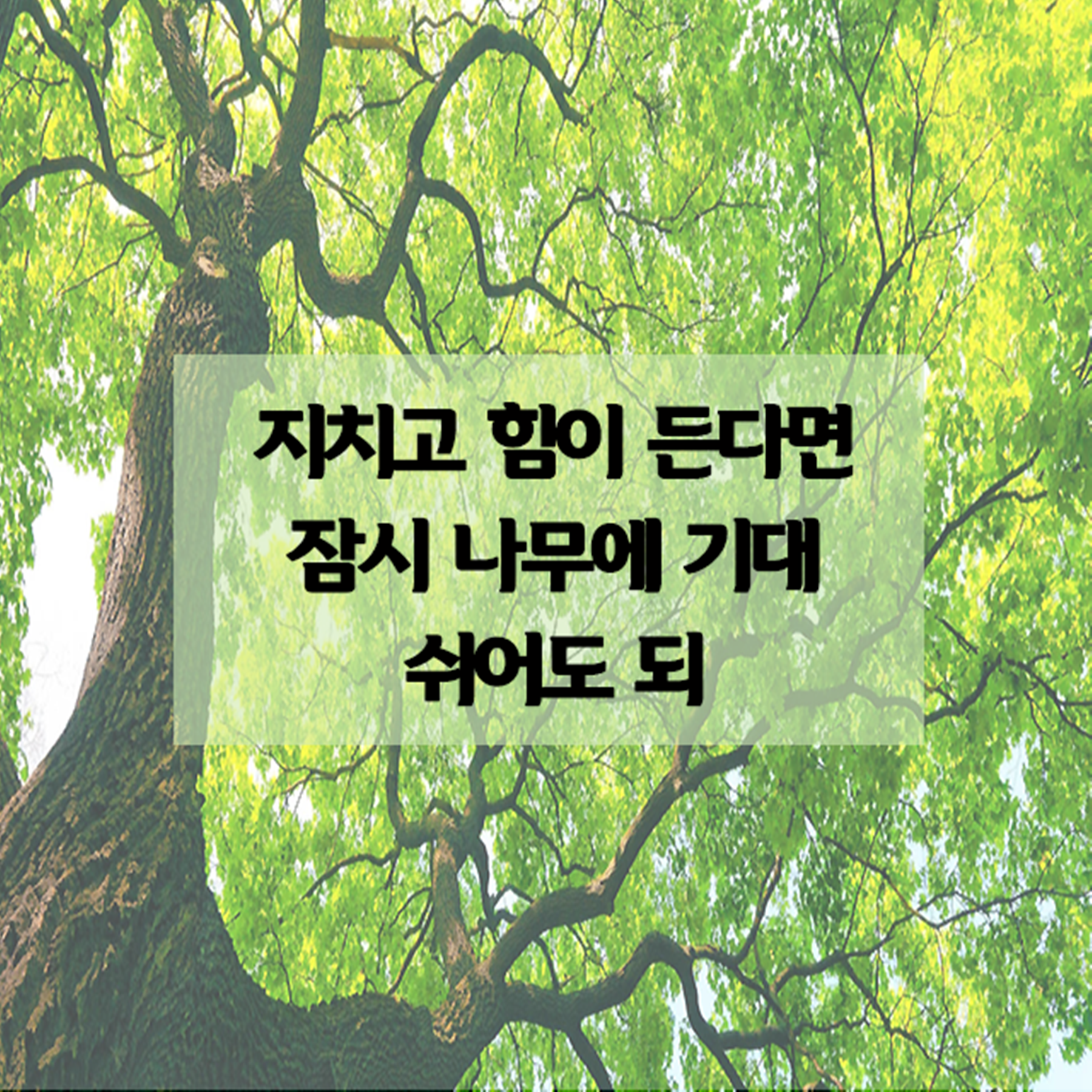  짧고 좋은 글귀 사진 배경 이미지