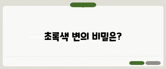 초록색 변 추천 지금 바로 해결해봐요