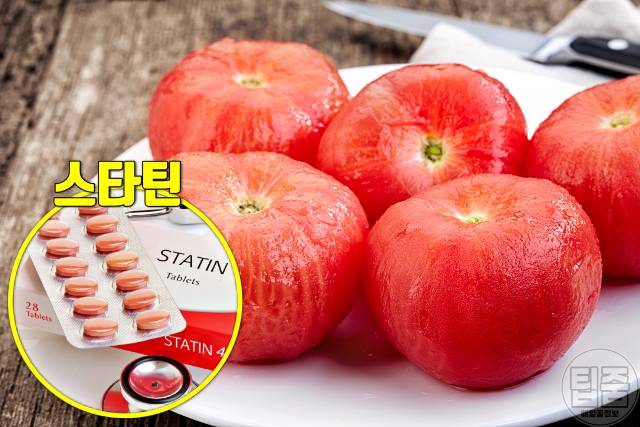 고지혈증 좋은 음식 토마토 고지혈증약 스타틴 효과