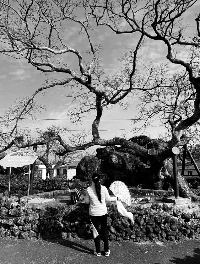 9일기도 제주도 기도 3