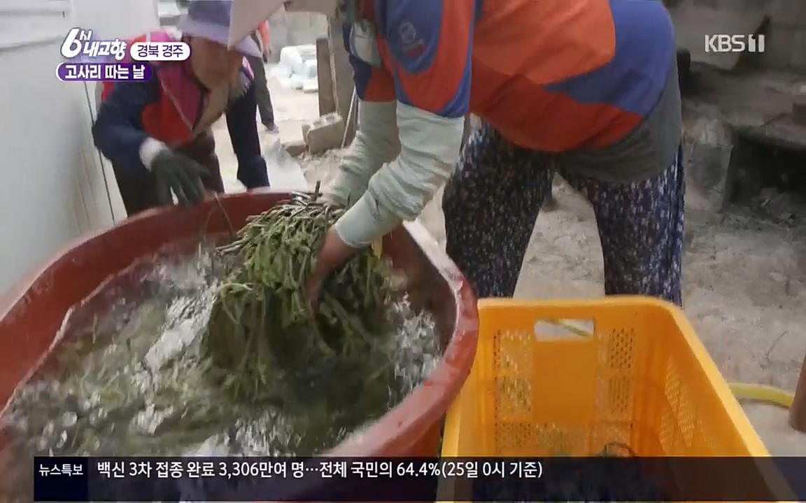 6시 내고향.E7518.220426p.H264-F1RST.mp4_20220504_190808.035.jpg