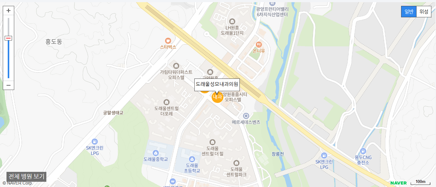 일요일 진료 내과 병원 도래울성모내과의원