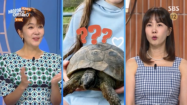 순간포착 세상에 이런일이.E1237.230716p-NEXT.mp4_20230716_174148.901.jpg