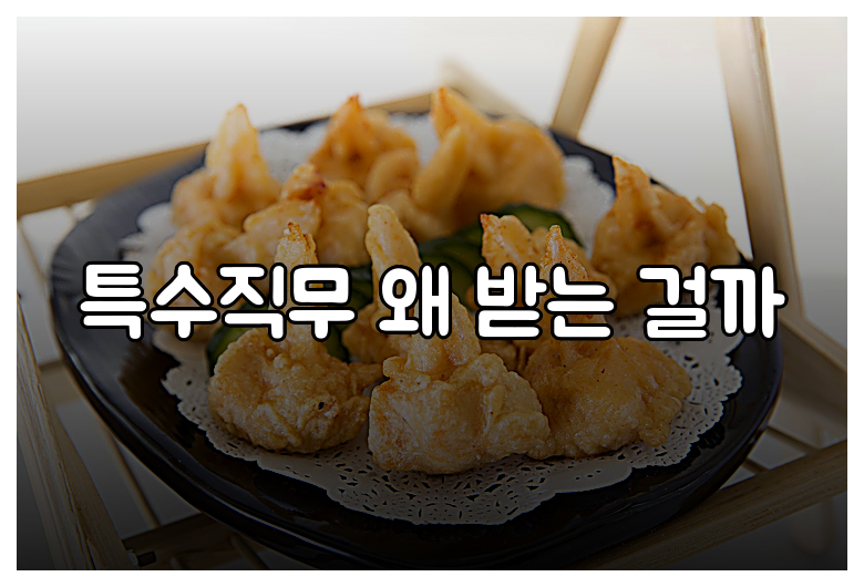 특수직무 왜 받는 걸까