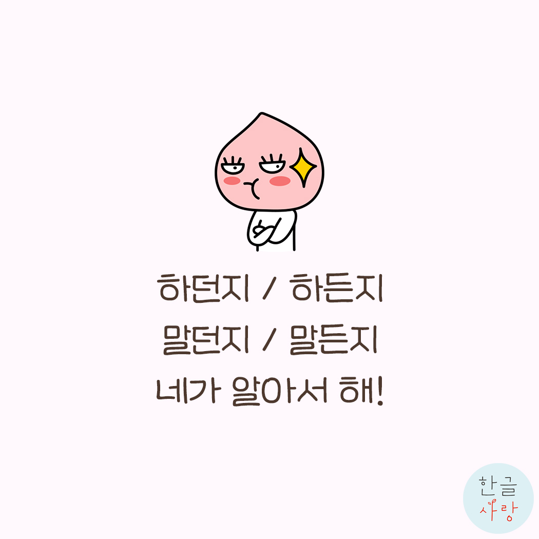  든지 / 던지의 표현, 올바르게 사용하고 계신가요?
