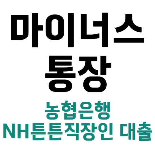 마이너스 통장 대출 농협은행 NH튼튼직장인 대출