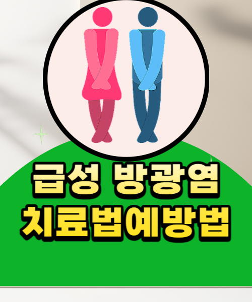  급성 방광염 남성보다 여성이 많이 걸리는 이유와 생활속 예방법 알아보기