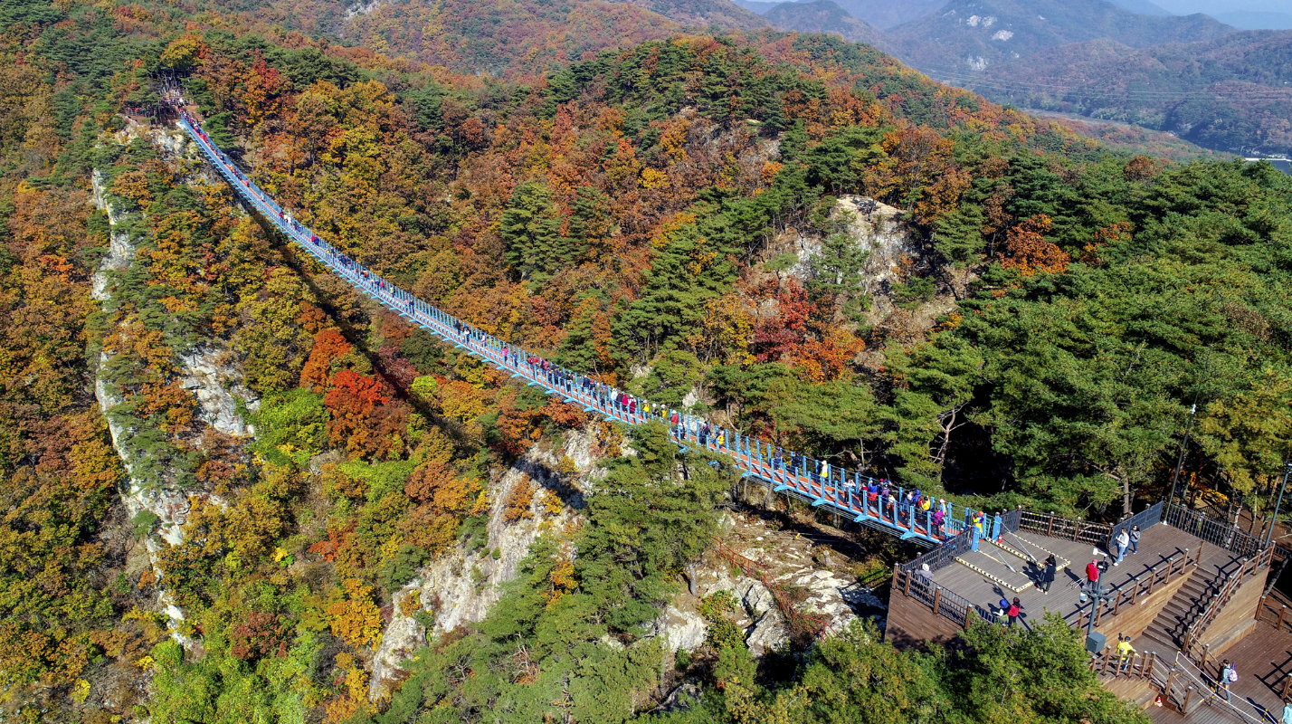 소금산-출렁다리-전경