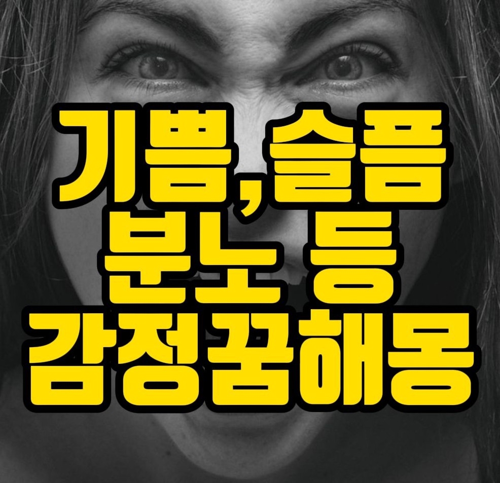  [꿈해몽] 기뻐하는꿈, 슬퍼하는꿈, 황홀해하는꿈, 고통스러워하는꿈, 공포에빠진꿈, 동정하는꿈, 분노하는꿈,느끼는꿈, 생각하는꿈, 역겨워하는꿈,